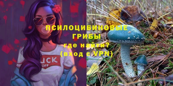 СК Куйбышев