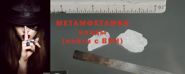 прущие грибы Краснослободск