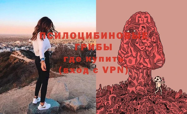 СК Куйбышев