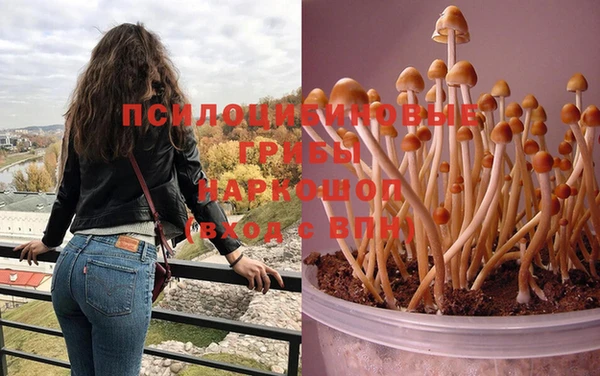 стафф Краснотурьинск