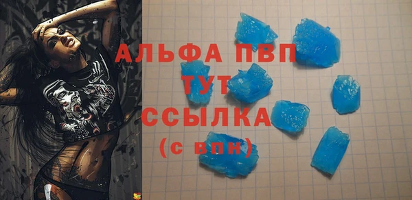 СК Куйбышев